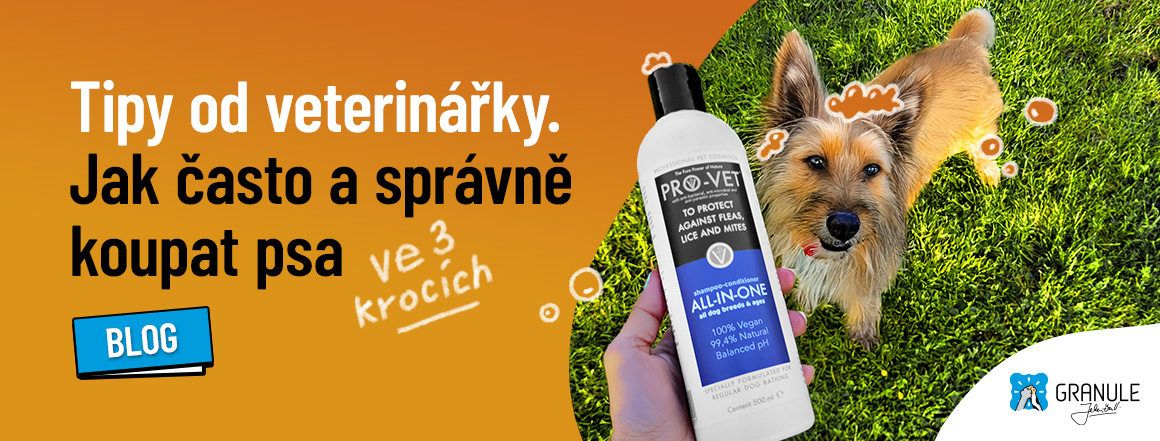 web_CZ_1160x441_blog_2024_koupani_psa_OPRAVA[1]